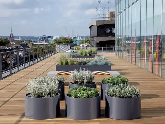 Background media image