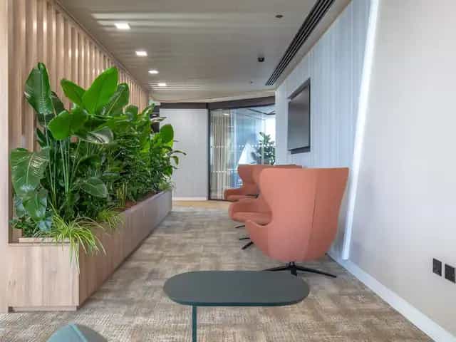 Background media image