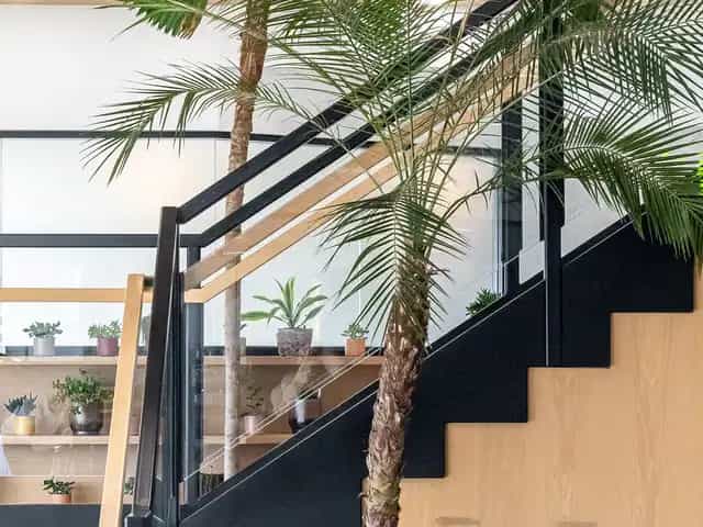 Background media image