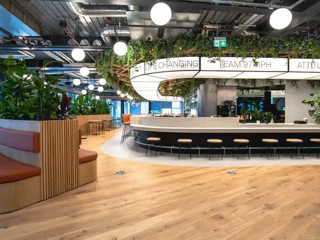 Background media image