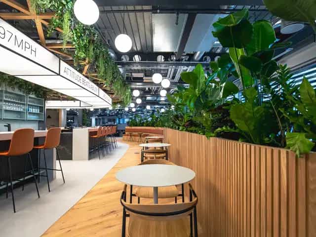 Background media image