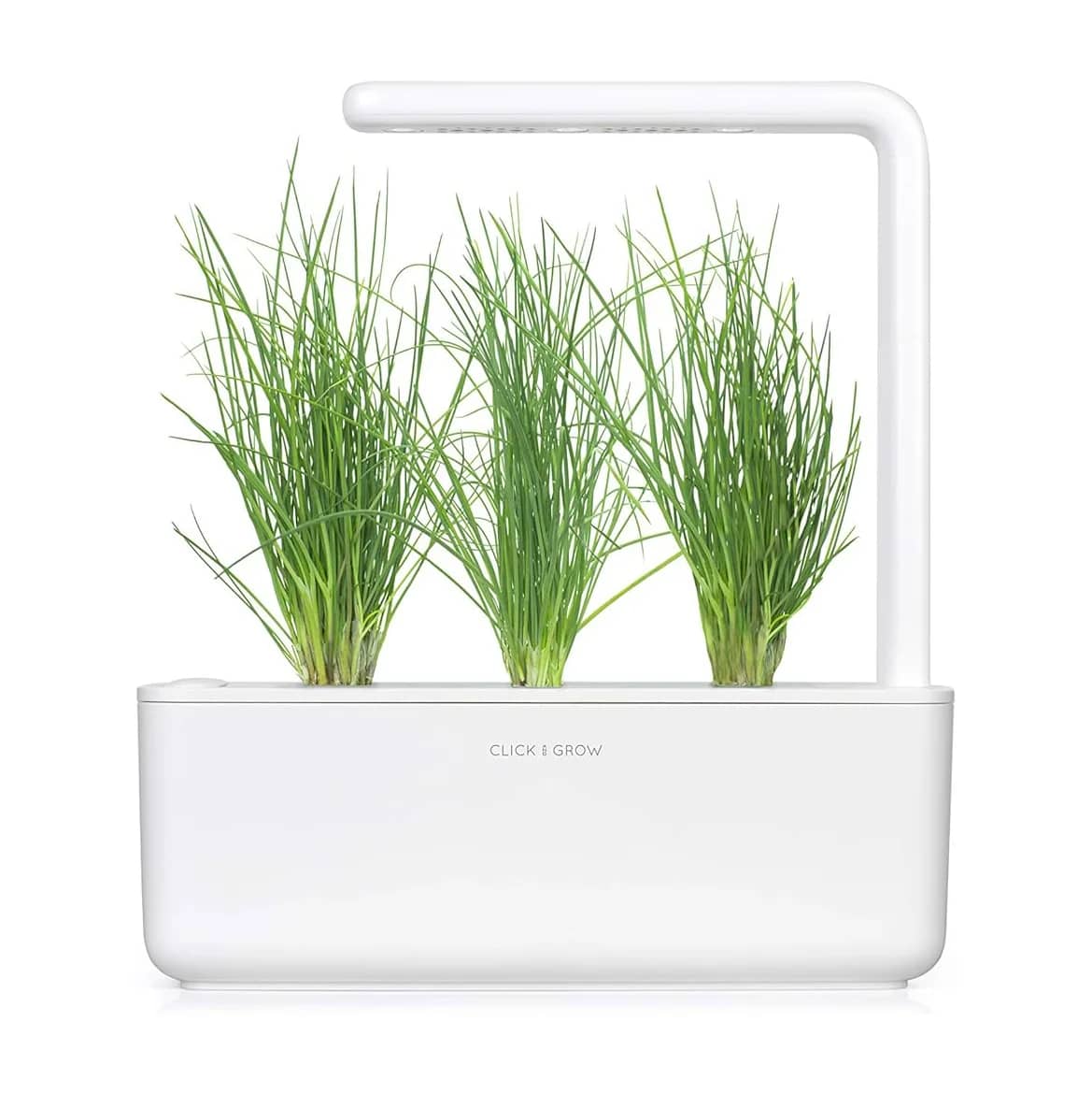 Chives growing in a white Click & Grow smart garden with LED grow light and soil-based pods, a simple indoor herb solution for office kitchens