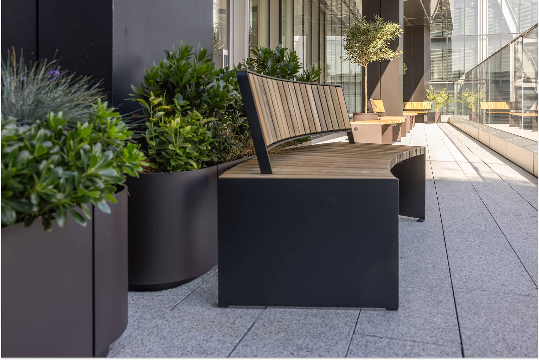 Curved wooden bench on a modern terrace, surrounded by large potted plants and glass railing, with city buildings in the background.