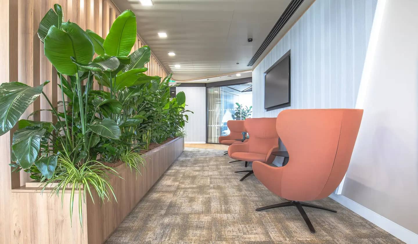 Gallery slider image