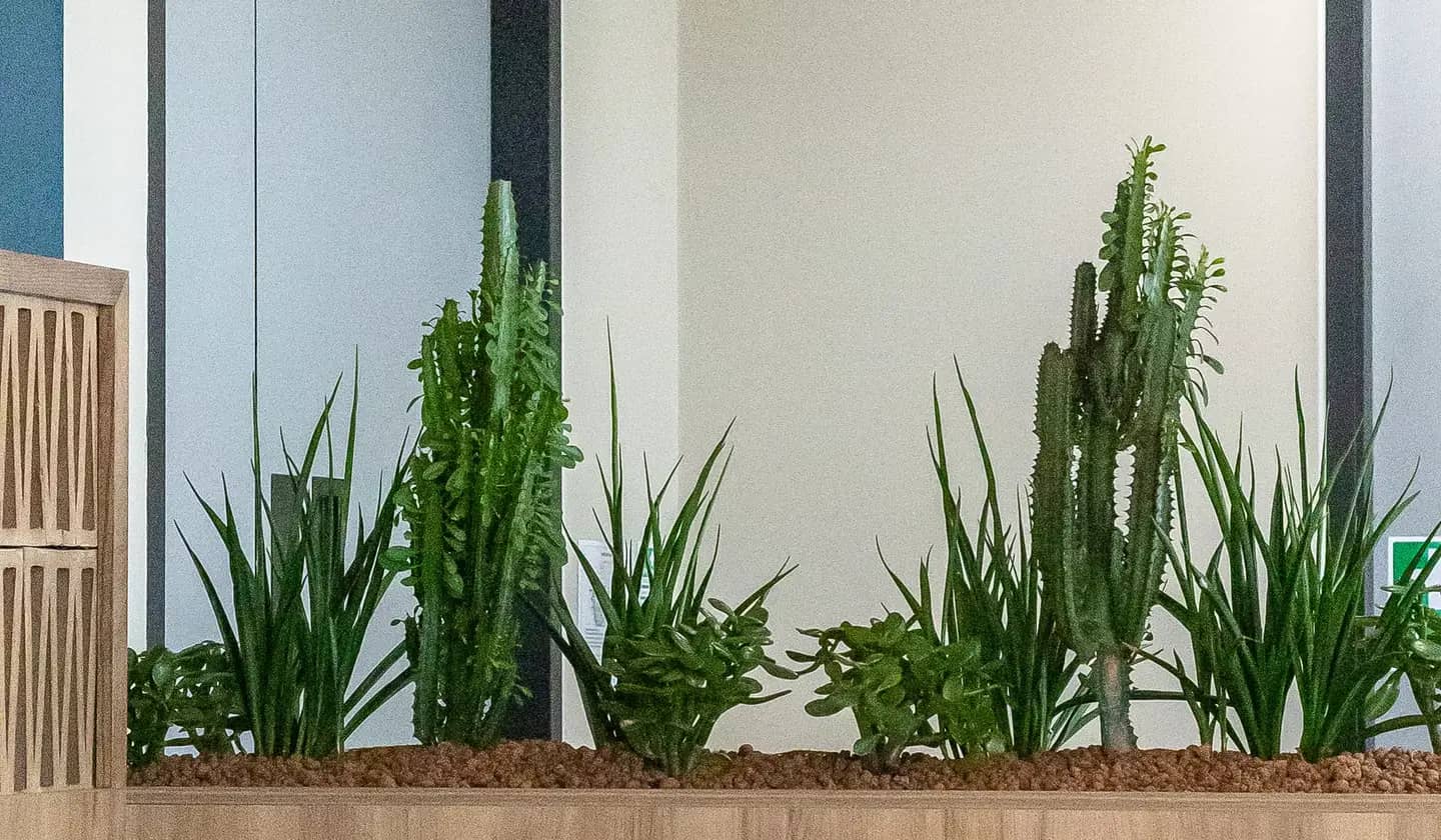 Gallery slider image