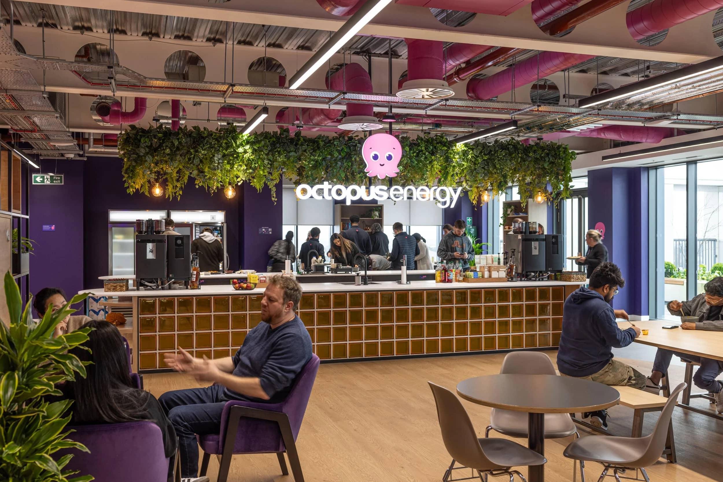 Octopus Energy Canteen Planting