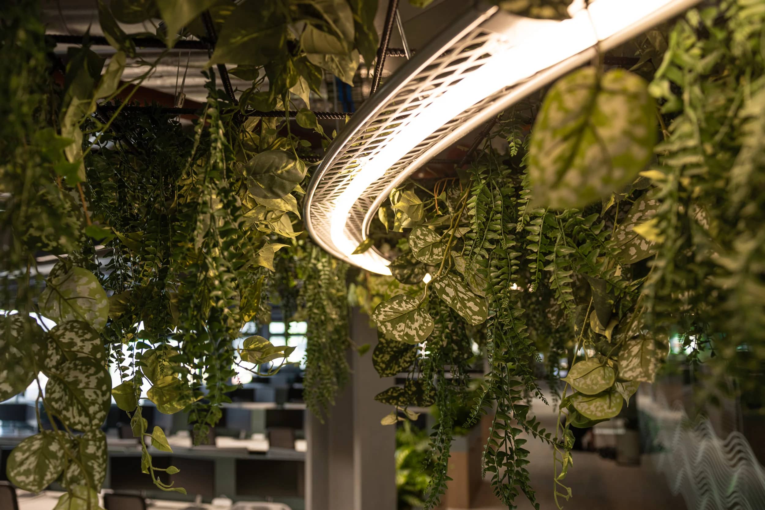 Artificial plants by Plant Plan